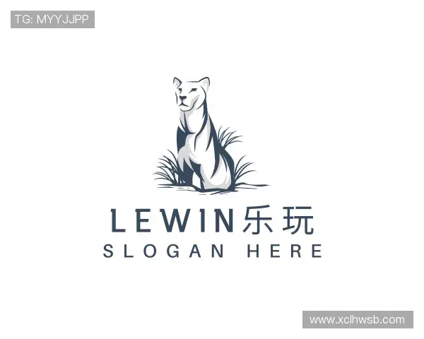介绍LEwin乐玩